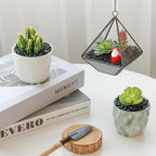 T4U Rocks for Aquarium and Plants, fish tank decor, succulent top dressing - Image 4