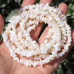 400pcs Natural Chip Shell Beads - Image 5