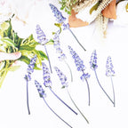 50Pcs Lavender Dried Pressed Flowers - Image 5