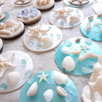 JQAQJU 32PCS Starfish and Scallop Shells - Image 2