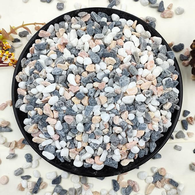 YISZM 10LB Succulent and Cactus Gravel Pebbles, 1/5 Inch Natural Decorative by YISZM-ForYourNaturalLife