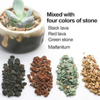 TOYPOPOR Mix Horticultural Lava Rock Pebbles Pumice Potting Soil Amendment - Image 5