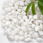 10 lb Natural Polished White Pebbles, 1/2 Inch Decorative White Rocks by RUOJAS