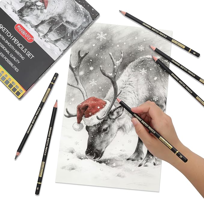 PANDAFLY Drawing Sketch Pencil Set, 16 Piece, 4H to 14B Graphite Pencils | - Image 5