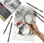 PANDAFLY Drawing Sketch Pencil Set, 16 Piece, 4H to 14B Graphite Pencils | - Image 5