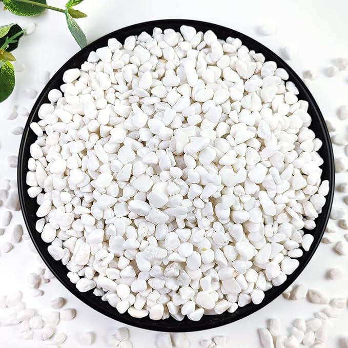 YISZM 10LB Succulent and Cactus Gravel, 1/5 Inch White Natural Decorative by YISZM-ForYourNaturalLife