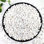 YISZM 10LB Succulent and Cactus Gravel, 1/5 Inch White Natural Decorative by YISZM-ForYourNaturalLife