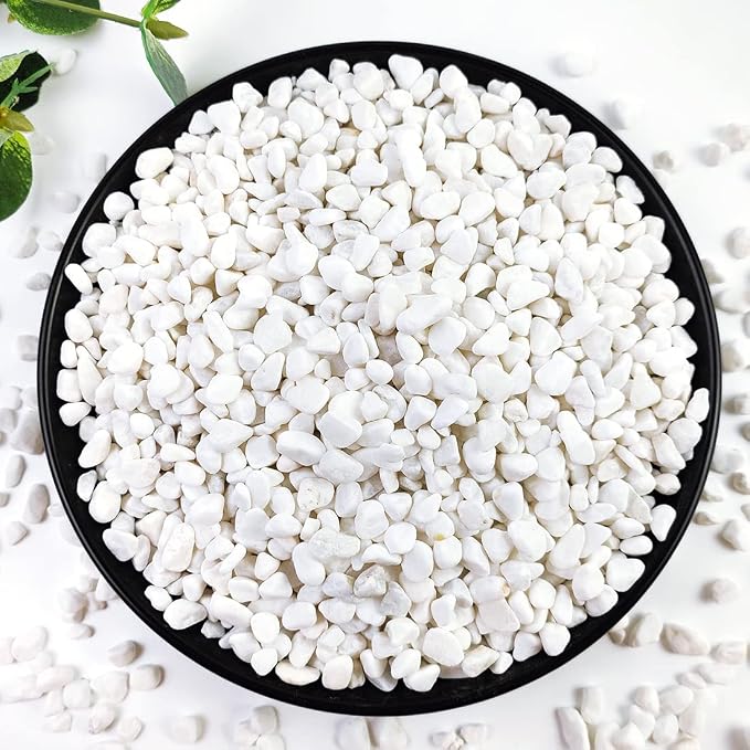 YISZM 5LB Succulent and Cactus Gravel Pebbles, 1/5 Inch White Natural by YISZM-ForYourNaturalLife