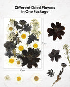 Dried Flowers, Resiners 100Pcs Pressed Flowers - Image 5