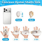 30Pcs 2-3 Inch Concave Small Oyster Shells - Image 5