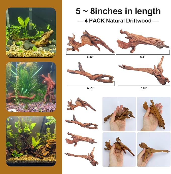 Natural Driftwood Decor for Aquarium Decorations Reptile Tank Accessories - Image 6
