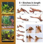 Natural Driftwood Decor for Aquarium Decorations Reptile Tank Accessories - Image 6