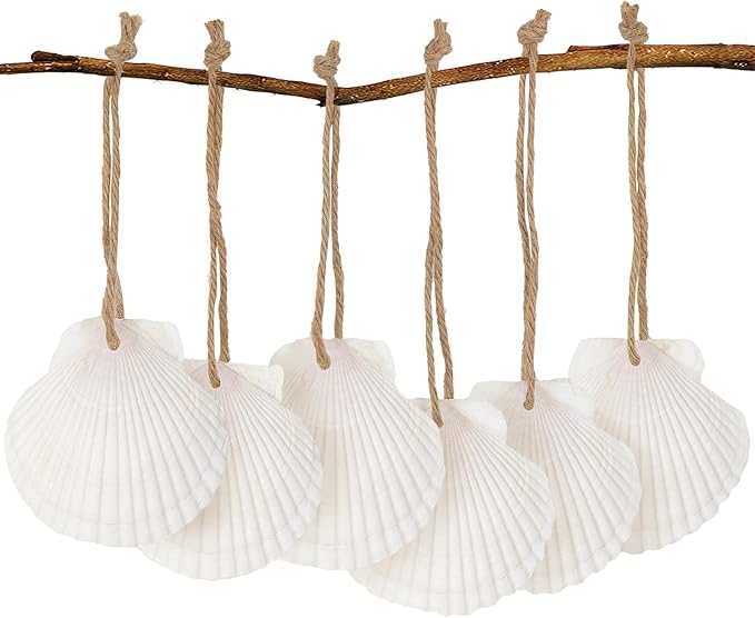 16PCS Natural Sea Shells 2.5"-3.5" Perforation Scallop Shells by SINKOO