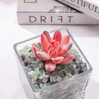 0.5 Lb/230g Fluorite Crystal Chips Stones Decorative Crystal Pebbles, Irregular - Image 6