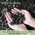SIDONG 10 LB Black River Rocks, 0.4-1.2 Inches Highly Polished Pebbles - Image 2