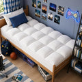 ELEMUSE Twin Mattress Topper for Back Pain, Extra Thick Mattress Pad Cover by ELEMUSE
