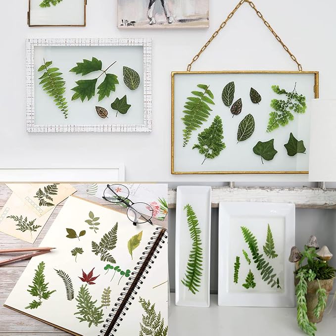 85PCS Real Green Dried Pressed Leaf Leaves, 28 Styles Greeny Mixed | 85PCS Real - Image 5