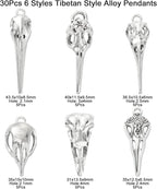 DanLingJewelry 30Pcs 6 Styles Antique Silver Raven Skull Bird Head Skeleton - Image 2