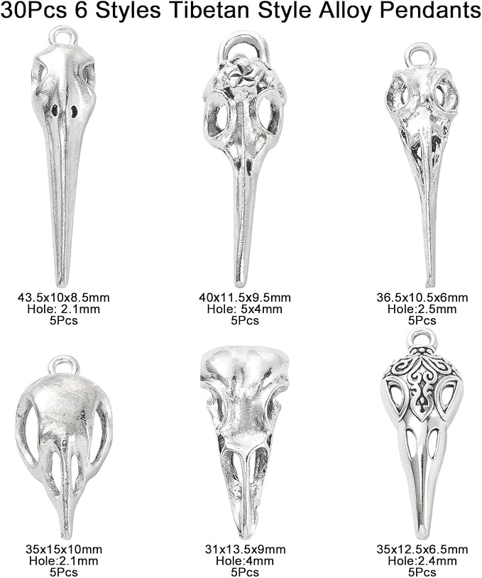 DanLingJewelry 30Pcs 6 Styles Antique Silver Raven Skull Bird Head Skeleton - Image 2