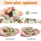 5 lb Pebbles for Indoor Plants, 1-2 Inch Decorative Rocks for Potted Plants - Image 6