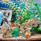 PINVNBY Natural Driftwood for Aquarium Large Reptile Terrarium Decor - Image 3