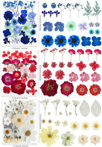 Bulk 410Pcs 11 Packs Mixed Real Natural Dried Pressed Flowers, Leaves & - Image 5