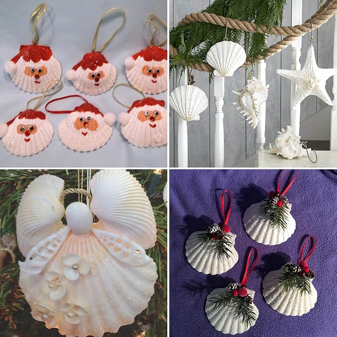 QEQEKAKA 6PCS Scallop Shells 4‘’-4.5" Natural Sea Shells White Hawaiian Scallop - Image 7