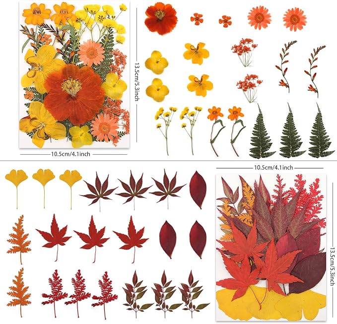 LUXEEASE 80P Autumn Tone Dried Pressed Flowers | Maple ginkgo plus blooms - Image 3