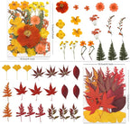 LUXEEASE 80P Autumn Tone Dried Pressed Flowers | Maple ginkgo plus blooms - Image 3