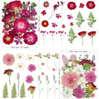 MIKIYA 86Pcs Dried Pressed Flowers - Image 6