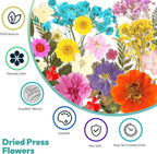 Dried Flowers, Resiners 58Pcs Pressed Flowers - Image 3