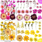 301Pcs Multi-Style Dried Pressed Flowers & Leaves - Image 5