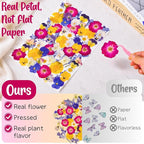 70 Pcs 11kinds Edible Dried Pressed Flowers - Image 6