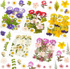 100 Pcs Dried Pressed Flowers Leaves by Evatage