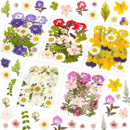 100 Pcs Dried Pressed Flowers Leaves by Evatage