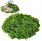 28.2oz Fake Moss for Crafts, Fairy Garden Accessories, Decorative Faux Grass by Bupelo