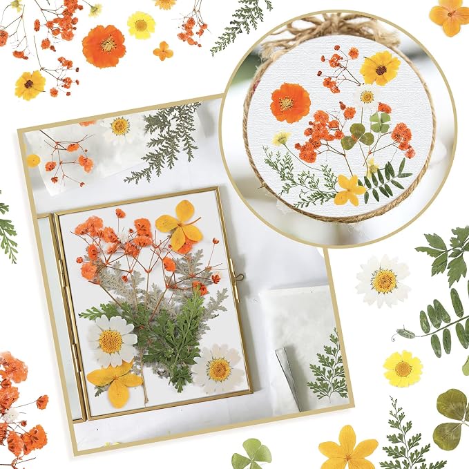 Nuanchu Dried Flower for Crafts Resin Pressed Flowers Bulk Real Dried - Image 5