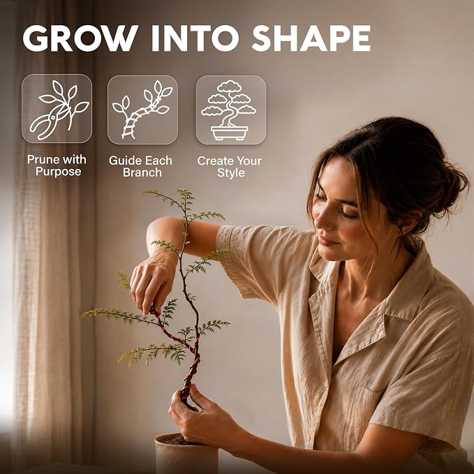Bonsai Tree Kit Deluxe + Growing Light - Image 9