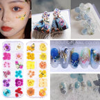 96Pcs Small Dried Pressed Flowers - Image 6