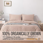 Bella Coterie | Luxury Bamboo Viscose Standard Size Pillowcase Set | 100% - Image 4