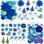 MIKIYA 94Pcs Blue Dried Pressed Flowers - Image 6
