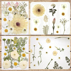 Dried Flowers for Resin | Vacuum Packed DIY Pressed Flowers for Epoxy, Nail - Image 3