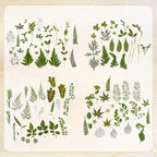 Augshy Pressed Dried Leaves Flowers, Scrapbooking - Image 5