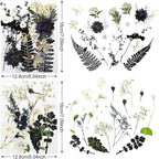 Nuanchu Black White Dried Pressed Flowers - Image 3