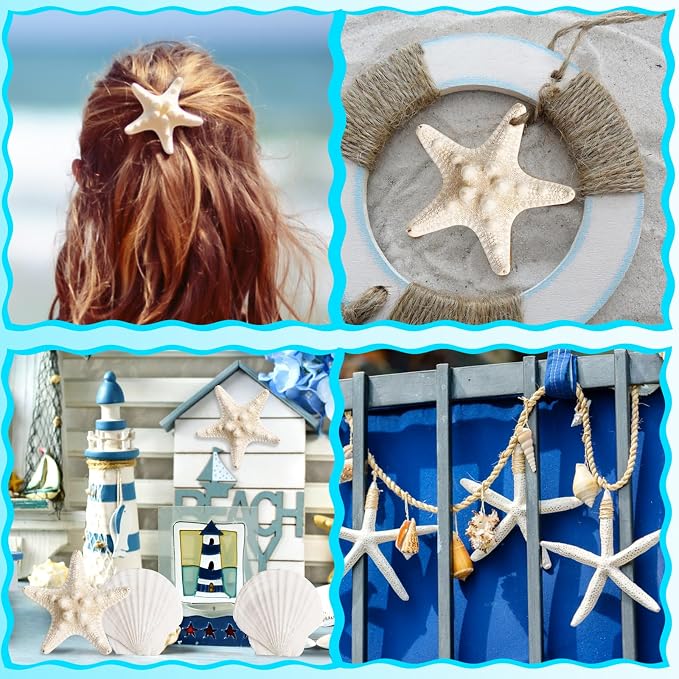 HAPYSHOOP 32 Pieces Starfish and Scallop Shells - Image 6