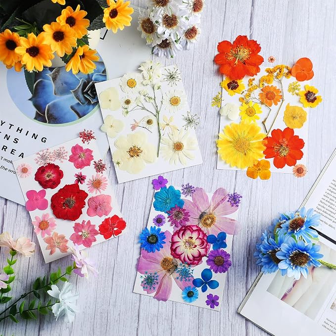 Nuanchu Dried Flower for Crafts Resin Pressed Flowers Bulk Real Dried - Image 2