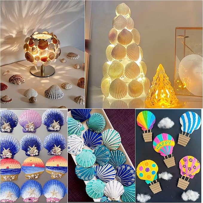 20PCS Large Natural Scallop Shells, DIY Painting, Baking and Beach Wedding - Image 6