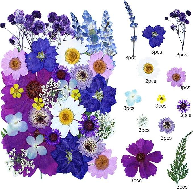 35Pcs Dried Pressed Flowers for Resin DIY Art Crafts Natural Dry Floral Daisy - Image 2
