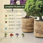 Planter's Choice Bonsai Tree Kit - Image 3