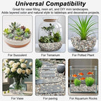 River Rocks, Landscaping Pebbles, Decorative Ornamental Pebbles, Garden - Image 7